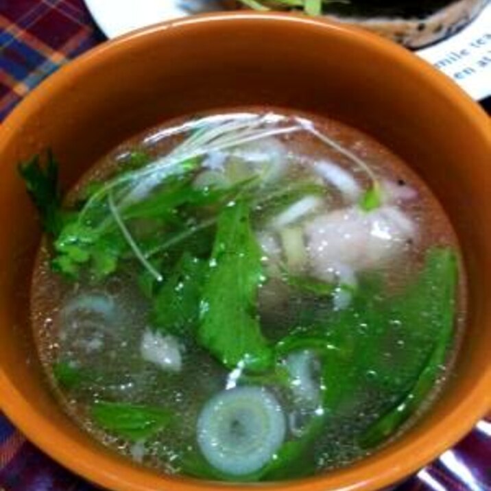 お肌ツルツル テールスープ